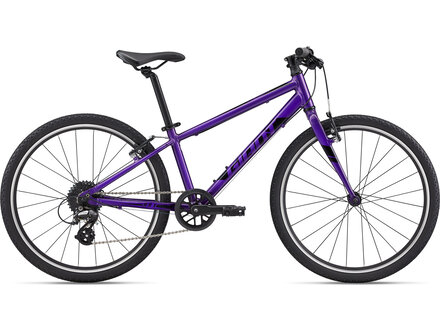 Giant Giant 2024 ARX 24 Giant Giant 2024 ARX 24