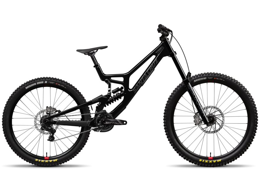 santa-cruz-santa-cruz-2024-v10