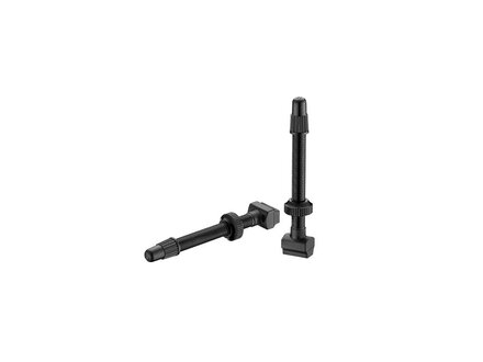 Giant Giant Lightweight Tubeless Valves Giant Giant Lightweight Tubeless Valves