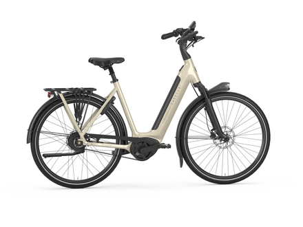 Gazelle Gazelle 2026 Arroyo C380 Low Step