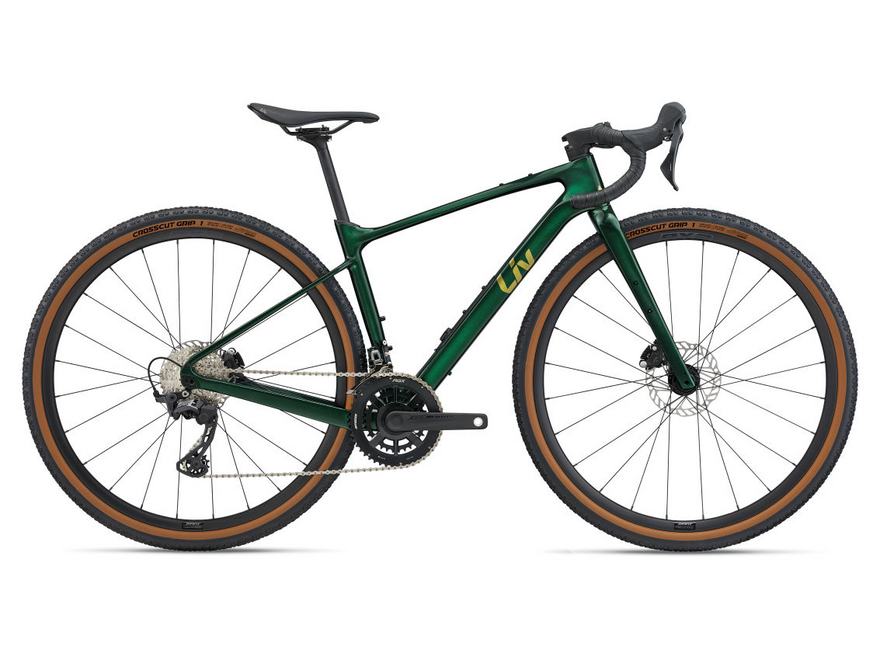 Giant 2025 Revolt Advanced 3 - Cycle Dupuis