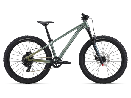 Liv Liv 2027 STP 24 Alpine Green