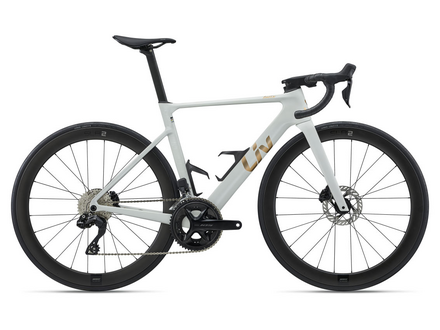 Liv Liv 2027 EnviLiv Advanced 1
