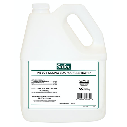 Safer Safer Insect Killing Soap II Conc. Gallon (4/Cs) Safer Safer Insect Killing Soap II Conc. Gallon (4/Cs)