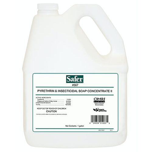 Safer Safer Pyrethrin & Insecticidal Soap II Conc. Gallon (4/Cs) Safer Safer Pyrethrin & Insecticidal Soap II Conc. Gallon (4/Cs)