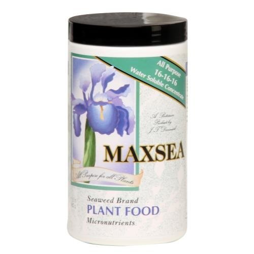 Maxsea Maxsea All Purpose Plant Food 1.5 lb (16-16-16) (12/Cs) Maxsea Maxsea All Purpose Plant Food 1.5 lb (16-16-16) (12/Cs)