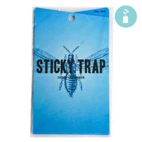 Grow1 Blue Sticky Trap (5-pack) Grow1 Blue Sticky Trap (5-pack)