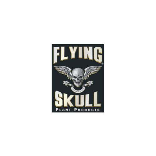 Flying Skull
