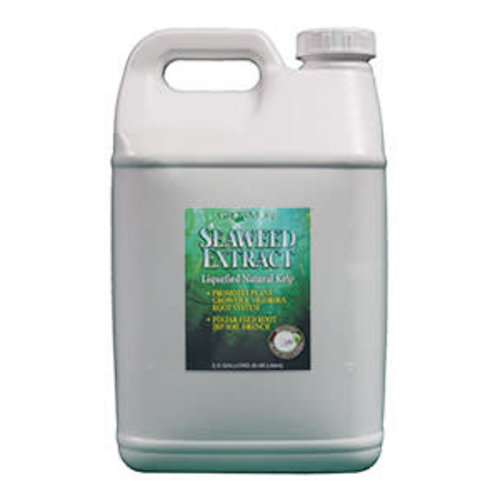 Grow More Grow More Seaweed Extract 2.5 Gallon Grow More Grow More Seaweed Extract 2.5 Gallon