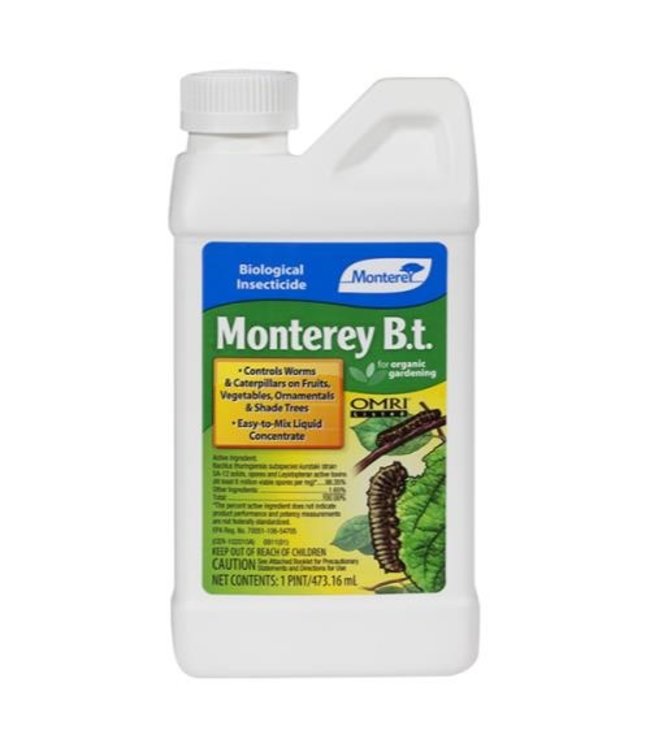 Monterey Monterey B.t. Pint (12/Cs)