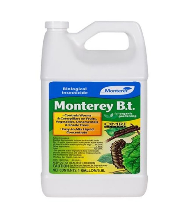 Monterey Monterey B.t. Gallon (4/Cs)