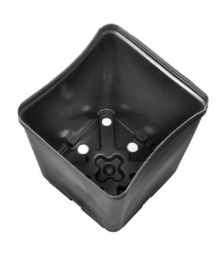 Gro Pro Square Plastic Pot 5.5 in x 5.5 in x 6 in (200/Cs)