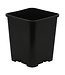 Gro Pro Premium Black Square Pot 7 in x 7 in x 9 in (100/Cs)