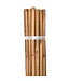 Growers Edge Grower's Edge Natural Bamboo 4 ft Bulk (100/Pack)