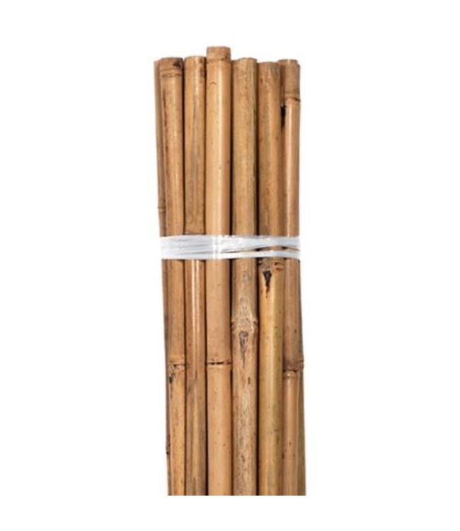 Growers Edge Grower's Edge Natural Bamboo 8 ft Bulk (50/Pack)