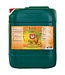 House & Garden House and Garden Bud XL 5 Liter (4/Cs)