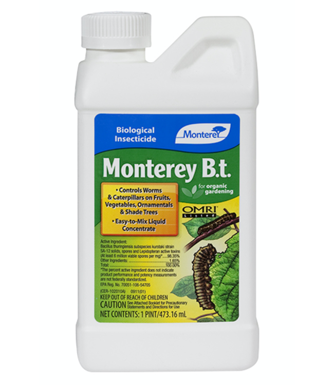 Monterey Monterey B.t. Pint (12/Cs)