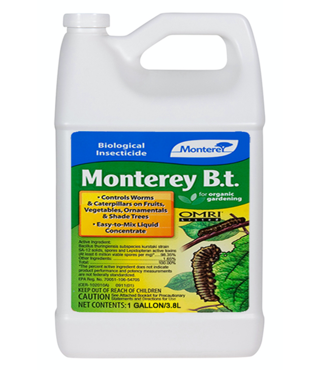 Monterey Monterey B.t. Gallon (4/Cs)