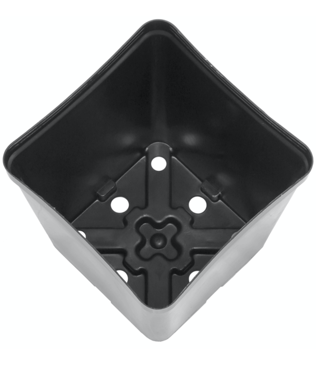 Gro Pro Square Plastic Pot 5.5 in x 5.5 in x 6 in (200/Cs)