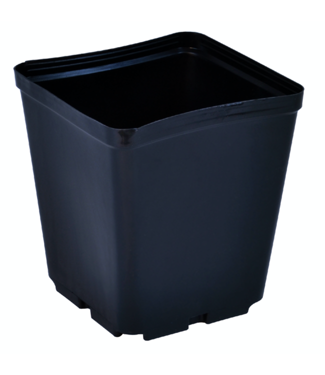 Gro Pro Square Plastic Pot 5.5 in x 5.5 in x 6 in (200/Cs)