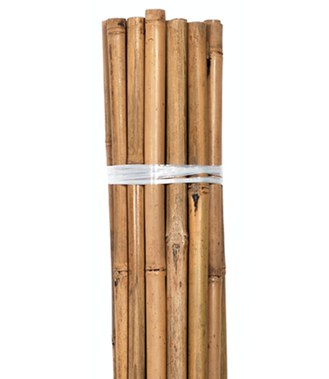 Growers Edge Grower's Edge Natural Bamboo 8 ft Bulk (50/Pack)