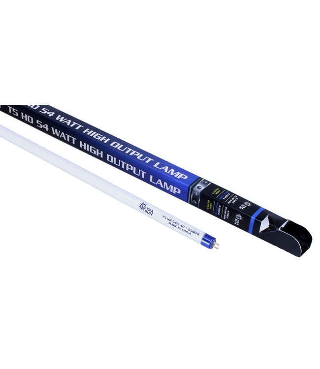 Ultra Sun T5 54 Watt HO Lamp 4 ft Blue 6500K (25/Cs)