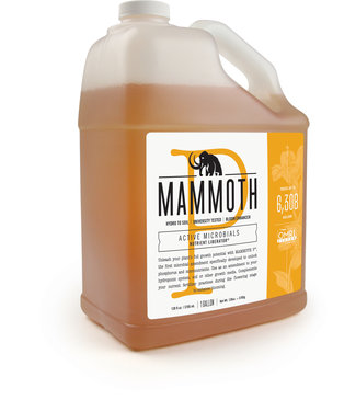 Mammoth Mammoth P - 1 Gallon
