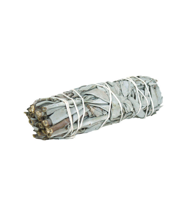Natural California White Sage Smudge Bundle - 3oz / 9.5''