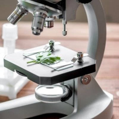 Microscopes & Cameras