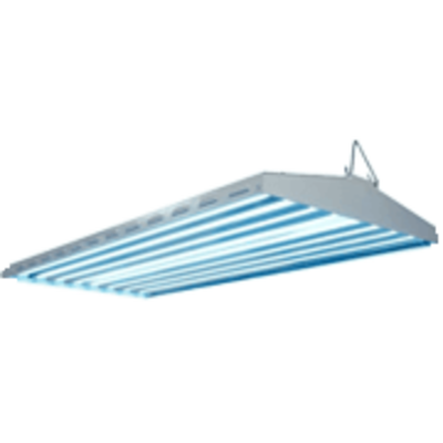 Fluorescent Lighting & T-5