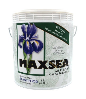 Maxsea Maxsea All Purpose Plant Food 6 lb (16-16-16)