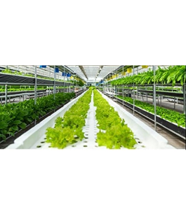 Xtreme Gardening Xtreme Gardening Mykos 20 lb (2/Cs)