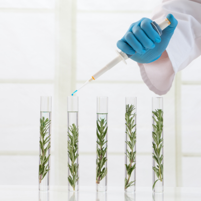 Cloning Gel & Solutions