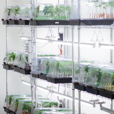 Propagation Lighting