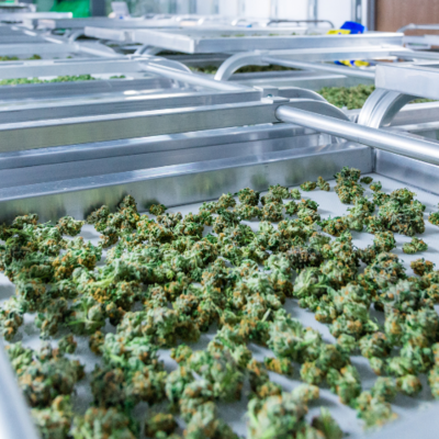 Trimming Accessories