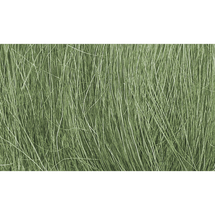 Field Grass/Medium Green