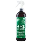 Sore No-More w/Sprayer 16oz