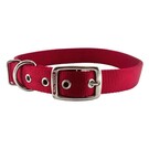 Dog Collar 12" Red