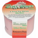 Jolly Snack Refill Mint 1Lb