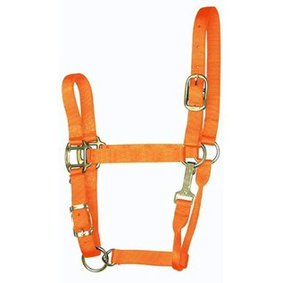 Average Halter Orange