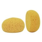 Body Sponge Round Tack Small