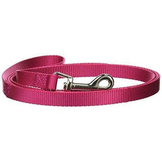 4' 5/8" Raspberry Lead