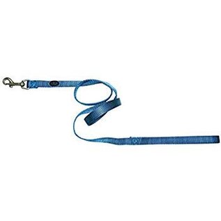 6' 5/8" Ocean Blue Lead