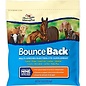 Bounce Back 4 oz
