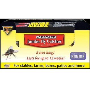 Fly Catcher Jumbo