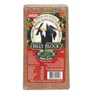 Billy Block