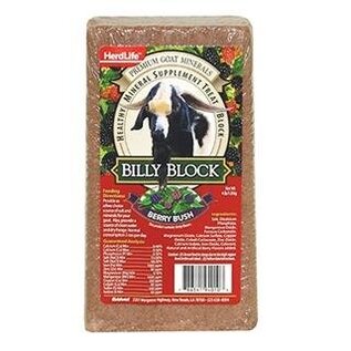 Billy Block