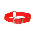 Hot Orange 22" Saftey Collar