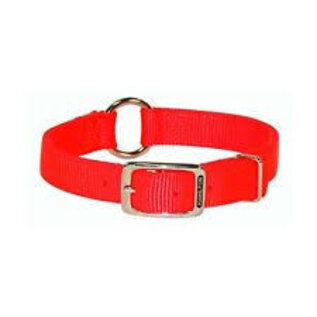 Hot Orange 22" Saftey Collar
