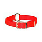 Hot Orange 22" Saftey Collar